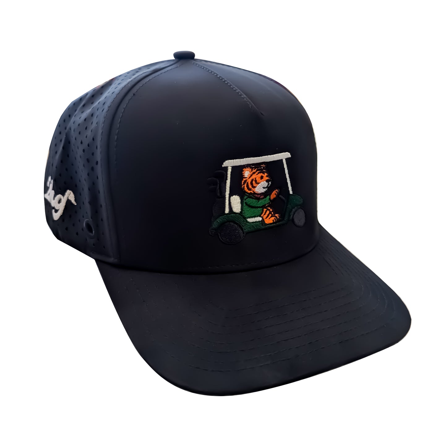 Carting Frank – Exclusive 2HG Snapback